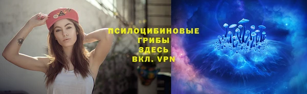 мдпв Заволжск