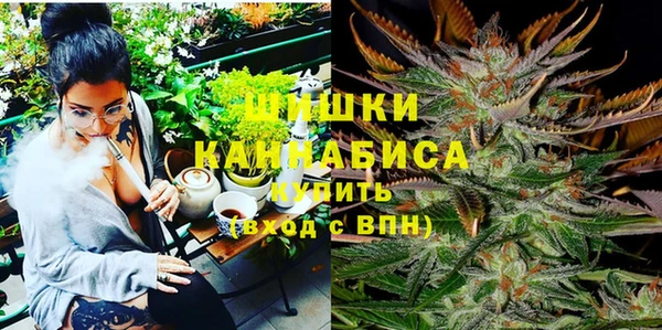 дживик Заводоуковск