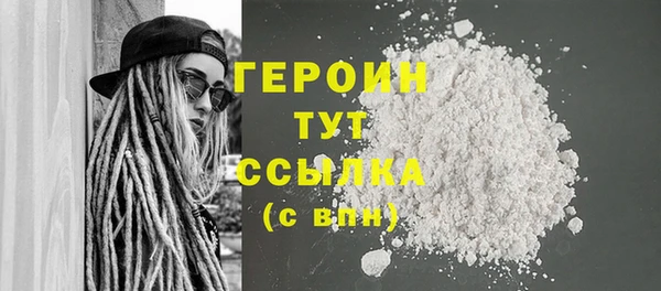 хмурый Ельня