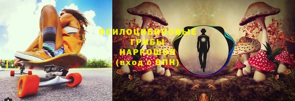 мдпв Заволжск