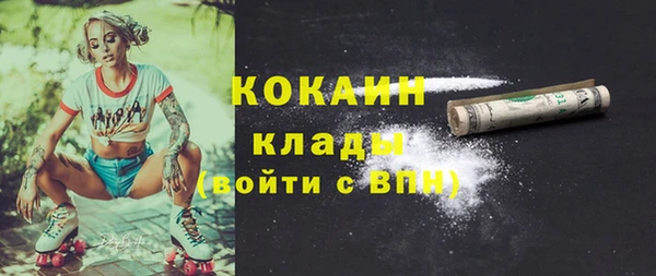 дживик Заводоуковск