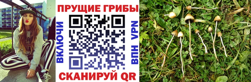 блэк спрут онион Ханты-Мансийск Галлюциногенные грибы мухоморы